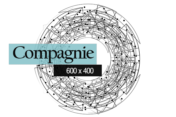 logo-bleu-network-5199241_600x400